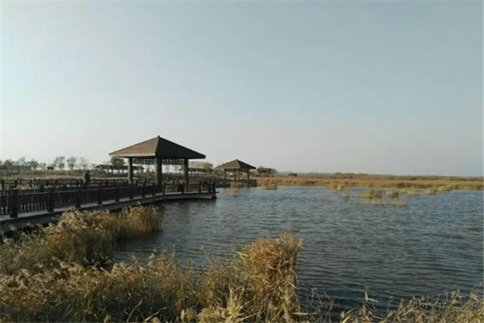 沧州沧州移动宽带
